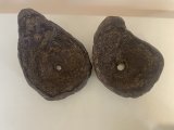 No.TB0601  草物鉢　大小セット