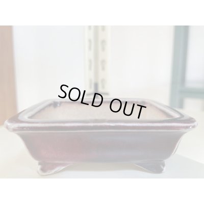 画像1: No.IA31288 鴻陽