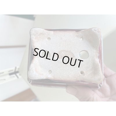 画像3: No.IA31288 鴻陽