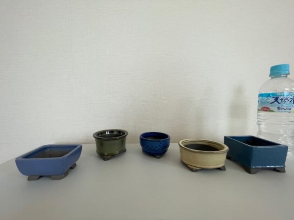 画像2: No.12A-3E  豆鉢セット 5個入り (2)