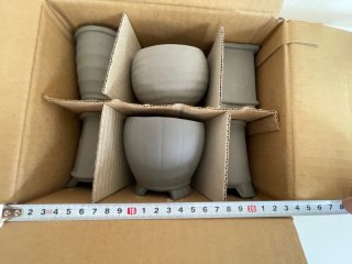 豆/小品鉢セット ｜ 鉢専門の盆栽ネットワーク・ジャパン