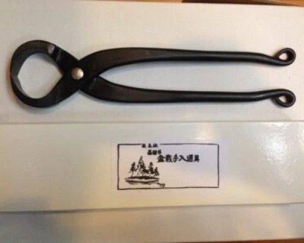 画像2: No.0015  根切り(小) (2)