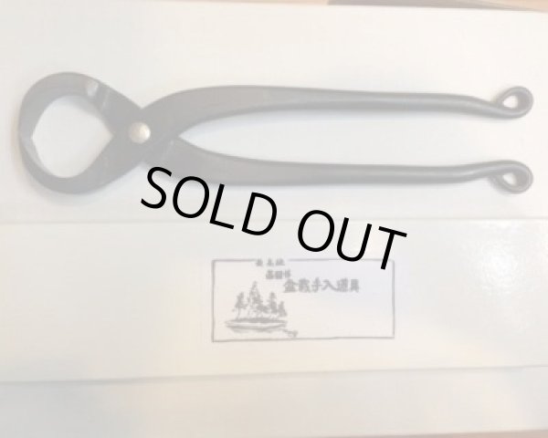 画像2: No.0015  根切り(小) (2)