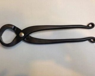 昌国 根切 ｜ 盆栽ネットワーク・ジャパン