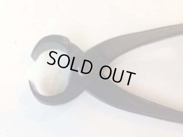 画像3: No.0035  コブ切(大) (3)