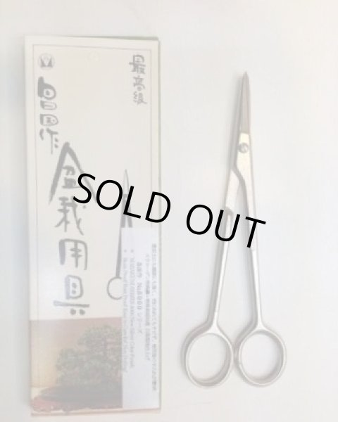 画像4: No.8005  白染め五葉芽摘み鋏 (4)