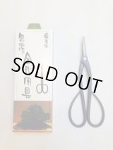 昌国 盆栽道具の販売 ｜ 盆栽ネットワーク・ジャパン (Page 2)