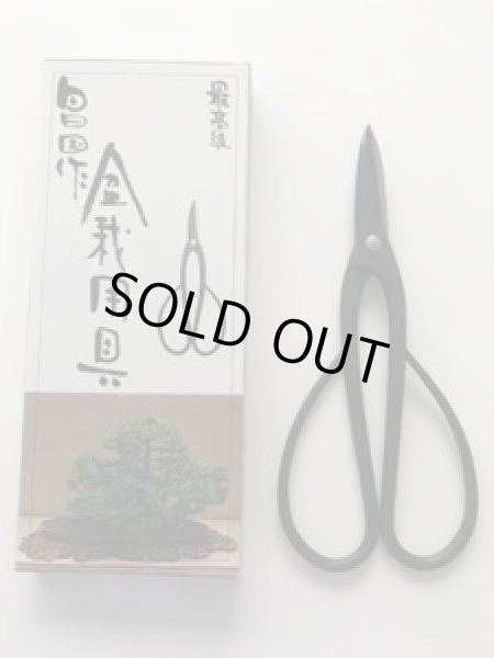 画像5: No.0002  黒磨長柄剪定鋏 (5)
