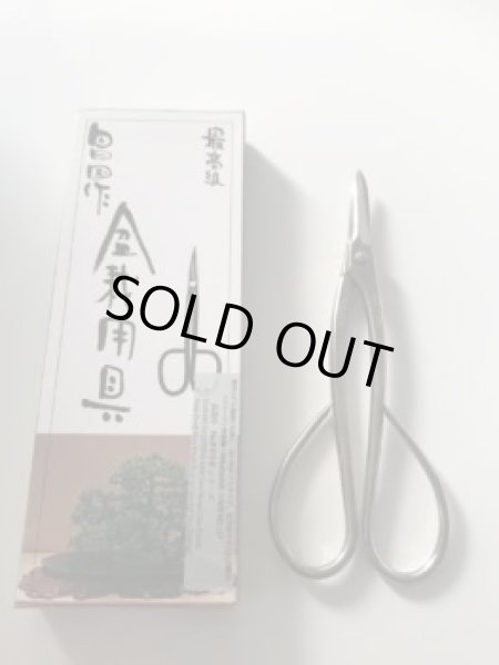 画像4: No.8228  白染めC型剪定鋏 (4)