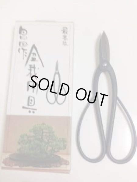 画像4: No.0052  剪定鋏(新製品) (4)