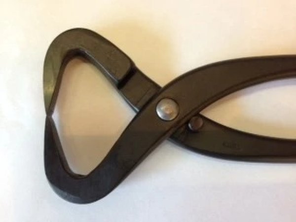 画像2: No.0115  幹割(小) (2)