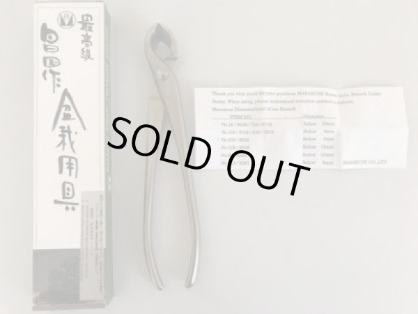 画像3: No.8016  又枝切　大 (3)