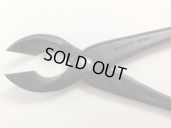 画像4: No.0016  又枝切 (4)