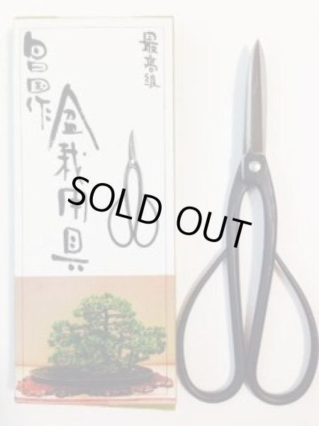 画像4: No.0802  刃長剪定鋏 (4)