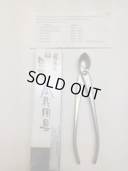 画像3: No.8716  白染め丸刃又枝切 (3)