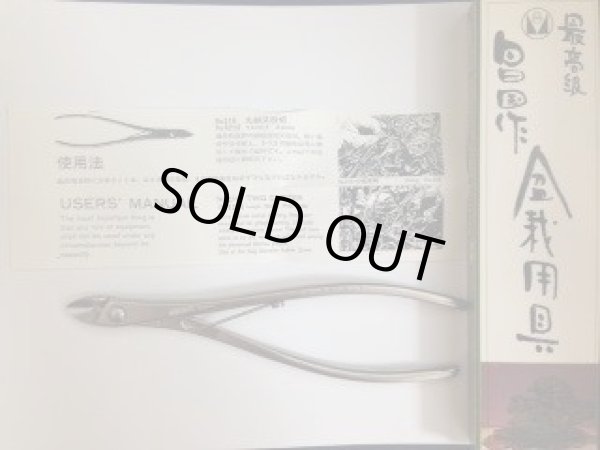 画像3: No.8216  白染又枝切 (3)