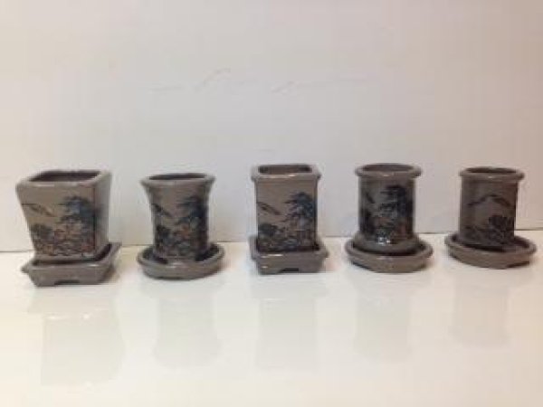 画像2: No.MP13A-91GS  山水茶透明 懸崖豆鉢5点セット(皿付) (2)