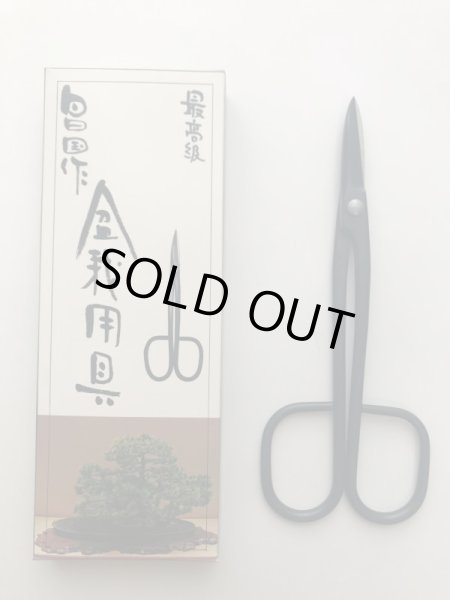 画像5: No.0028  黒磨中型剪定鋏 (5)