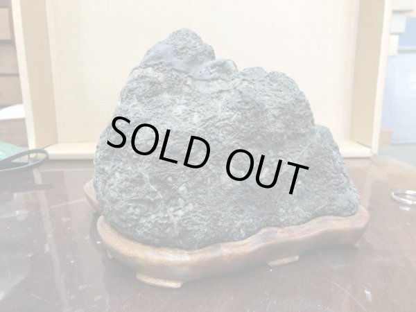 画像2: No.SHE0032  四国梅林 (2)