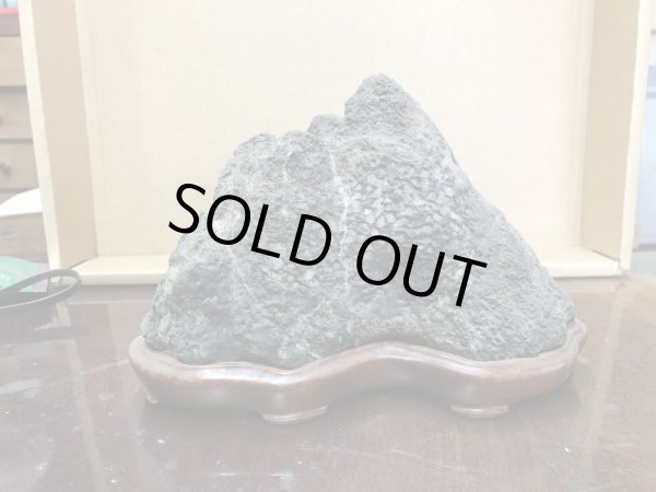 画像1: No.SHE0032  四国梅林 (1)