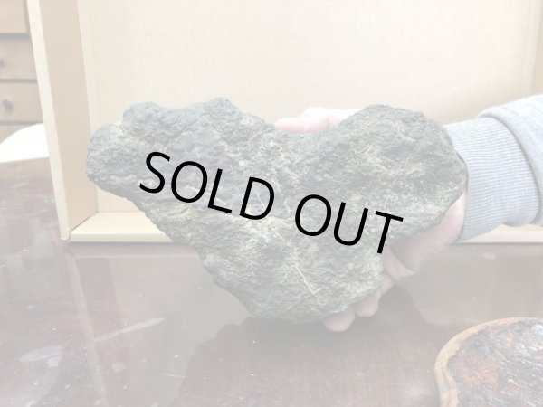 画像3: No.SHE0032  四国梅林 (3)