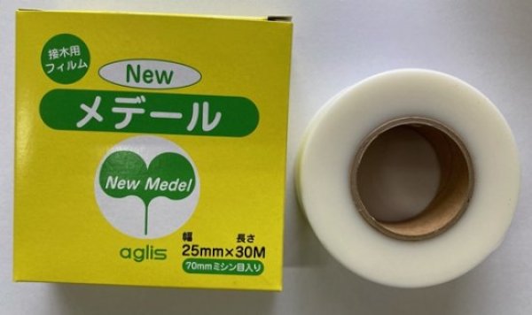 画像1: No.1697  Ｎｅｗメデール（ミシン目入）３０ｍｍ×３０ｍ (1)