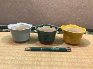 豆/小品鉢セット ｜ 鉢専門の盆栽ネットワーク・ジャパン