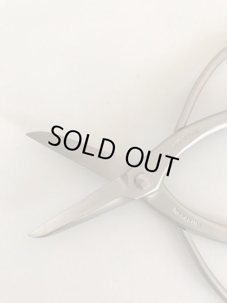 画像4: No.8801  白染め小型剪定鋏 (4)