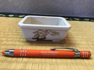 豆/小品鉢セット ｜ 鉢専門の盆栽ネットワーク・ジャパン