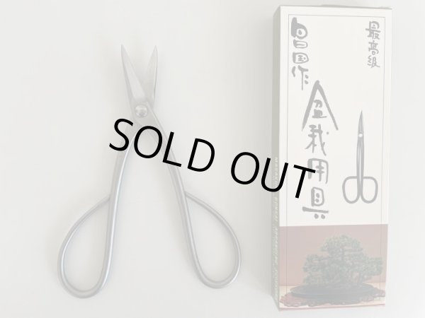 画像3: No.SS-202  B型剪定鋏* (3)