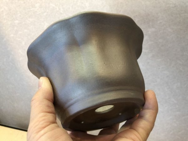 画像4: No.EB0266  黎鳳 (4)