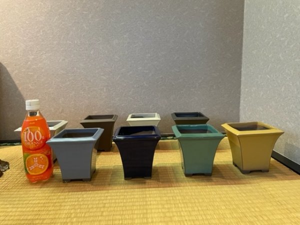 画像2: No.1570-4  4号正角懸崖セット 8個入り (2)