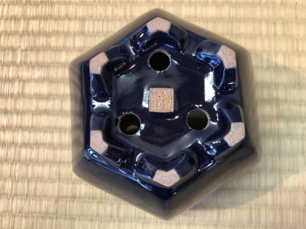 画像3: No.EB0271  黎鳳 (3)