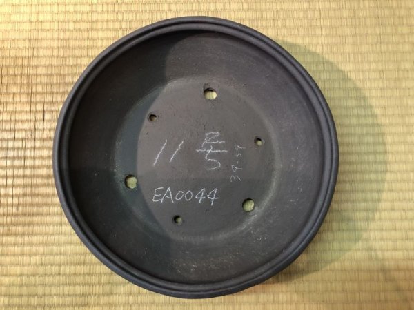 画像3: No.EA0044  喜仙 (3)