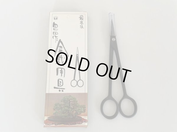 画像2: No.0005  五葉芽つみ鋏 (2)