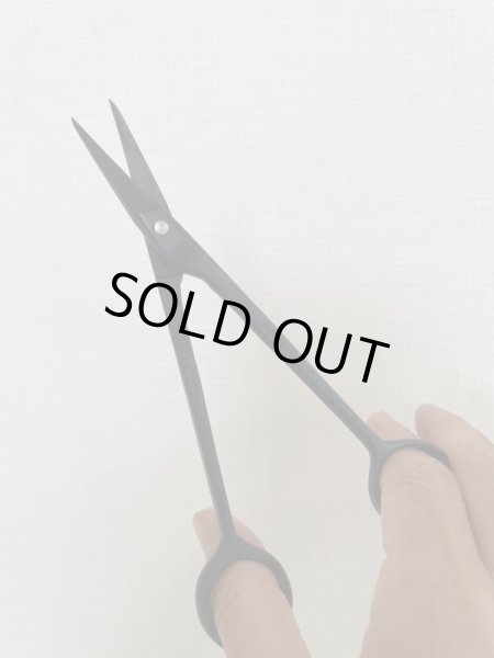 画像6: No.0005  五葉芽つみ鋏 (6)