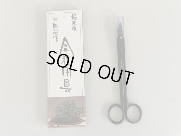 画像2: No.0003  芽つみ鋏 (2)