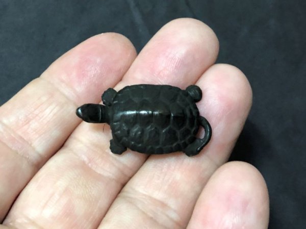 画像7: No.ENSS0009  亀(小)尾 (7)