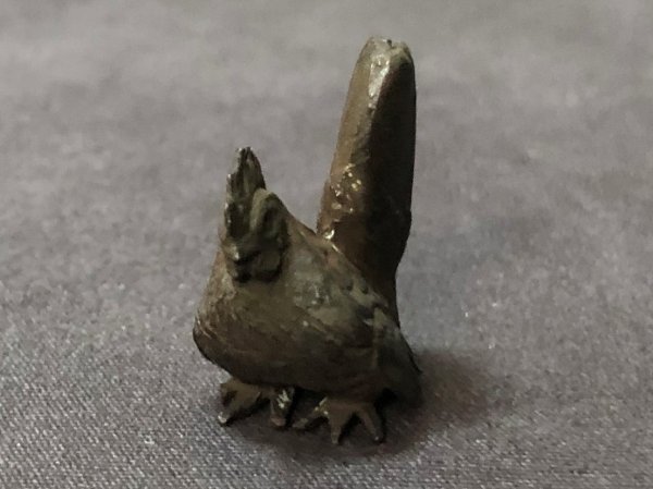 画像5: No.ENSS0012  チャボ(メス) (5)