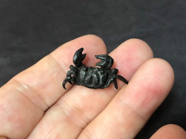 画像8: No.ENSS0002  カニ(中) (8)