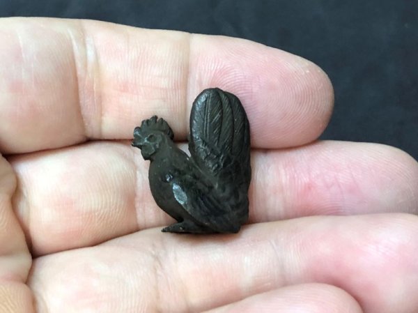 画像7: No.ENSS0012  チャボ(メス) (7)