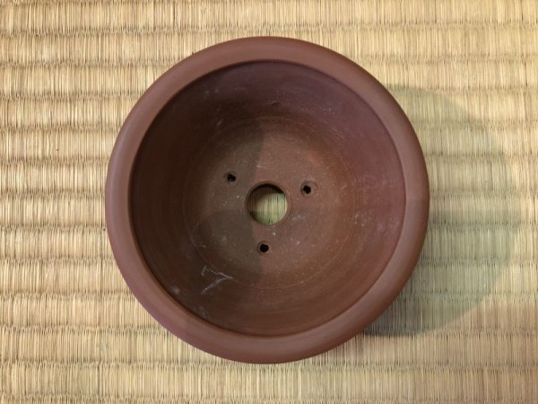 画像3: No.EA0116  美芸 (3)