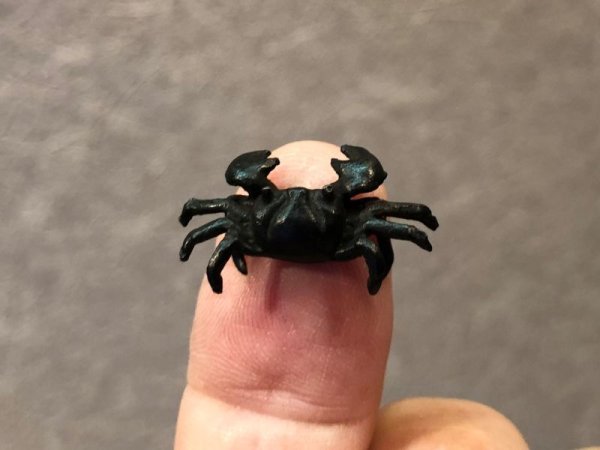 画像7: No.ENSS0001  カニ(小) (7)