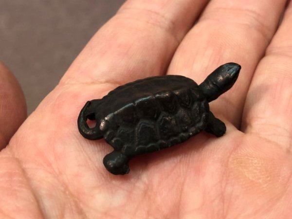 画像6: No.ENSS0009  亀(小)尾 (6)