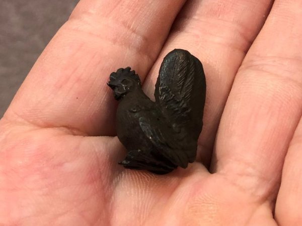 画像6: No.ENSS0012  チャボ(メス) (6)