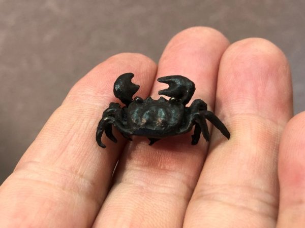 画像7: No.ENSS0002  カニ(中) (7)