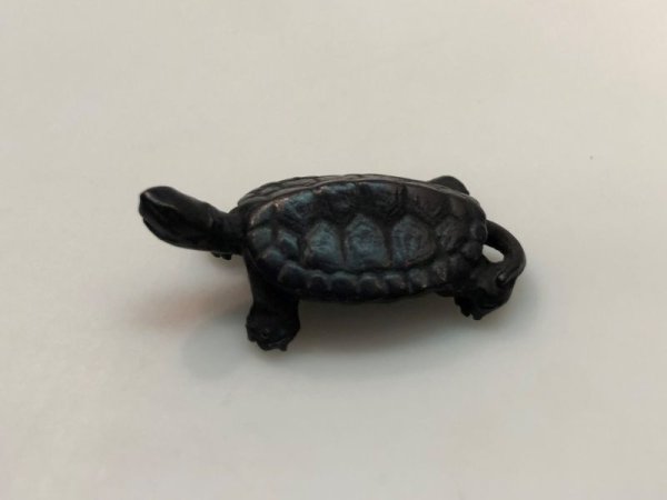 画像3: No.ENSS0009  亀(小)尾 (3)