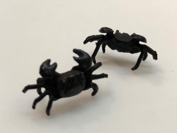 画像8: No.ENSS0001  カニ(小) (8)