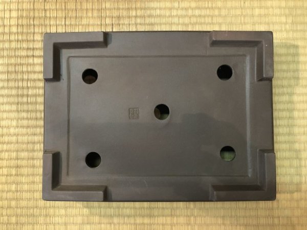 画像4: No.EA0149  和泉屋 (4)