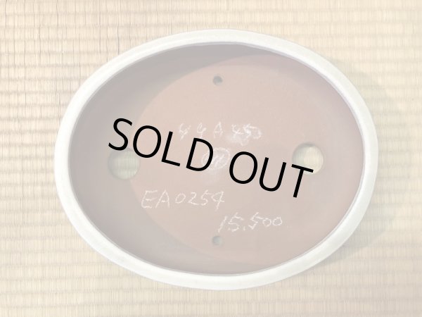 画像3: No.EA0254  耀山 (3)